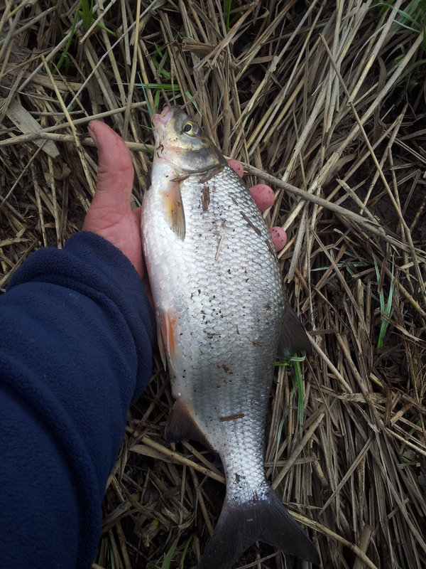 20130511_094359.jpg