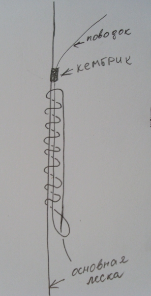 SL382231.JPG