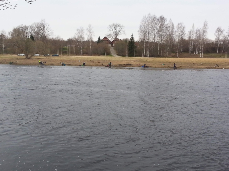 20130505_094646.JPG