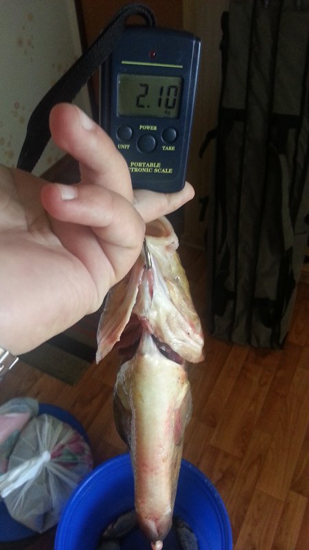 20130525_173459.jpg