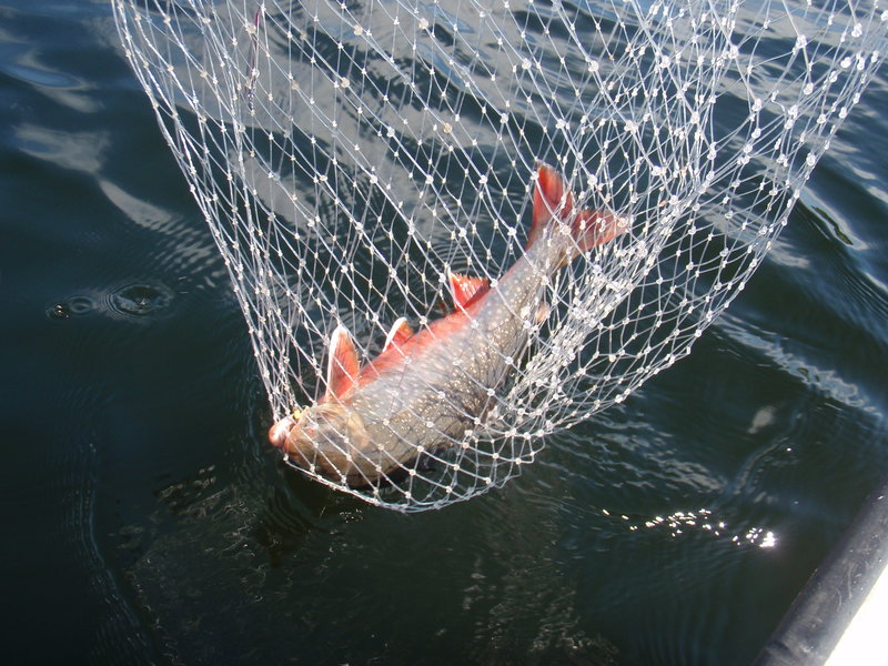 P1056390.JPG