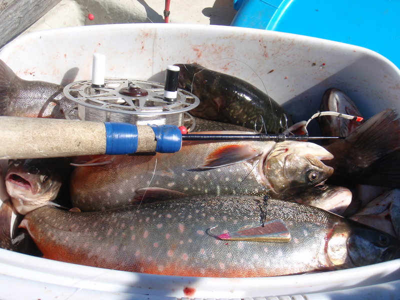 P1056400.JPG