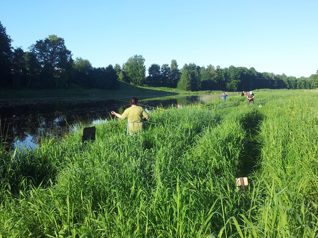 20130608_065137.jpg