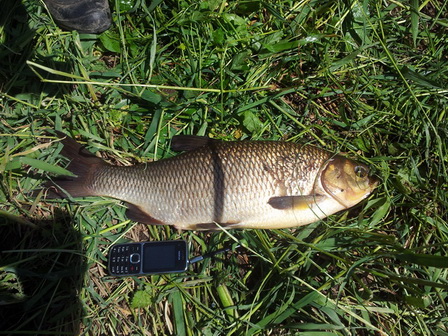 20130608_131022.jpg