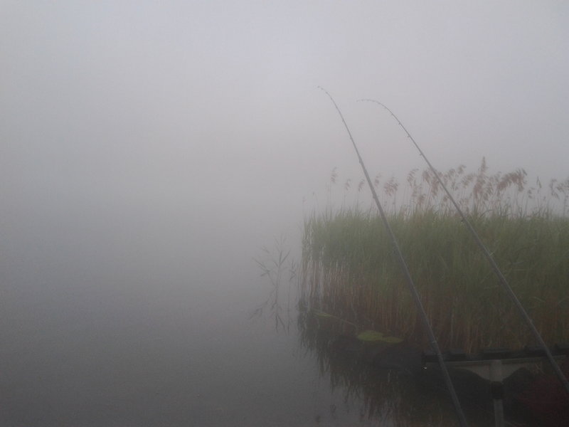 рано утром