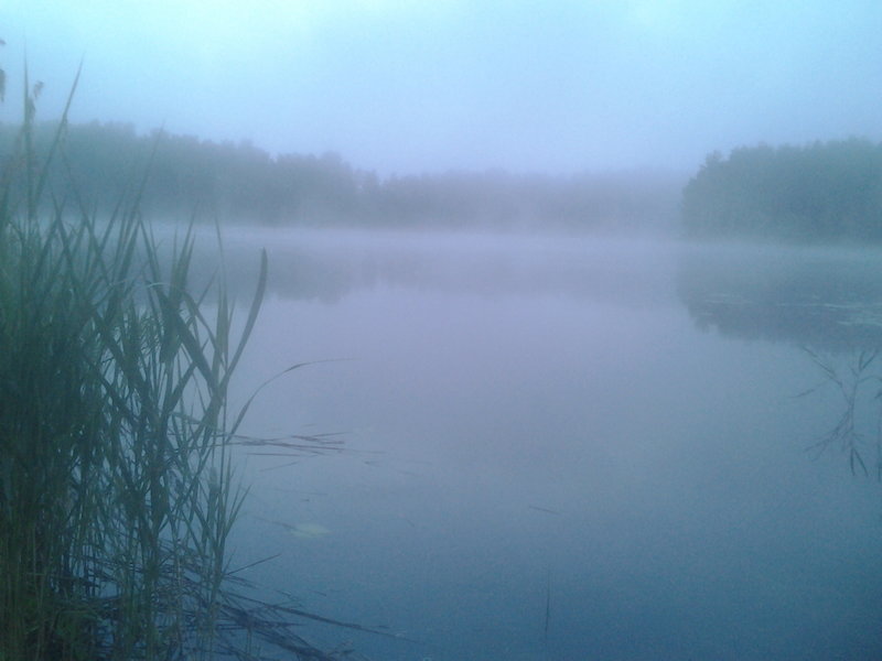 Утром