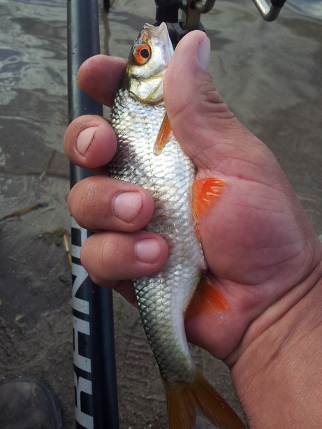 20130612_192439.jpg