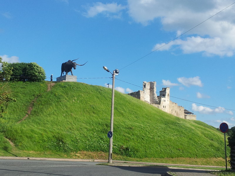 20130616_182448.jpg