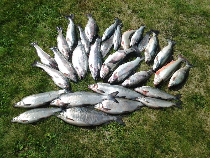 20130612_142120.jpg