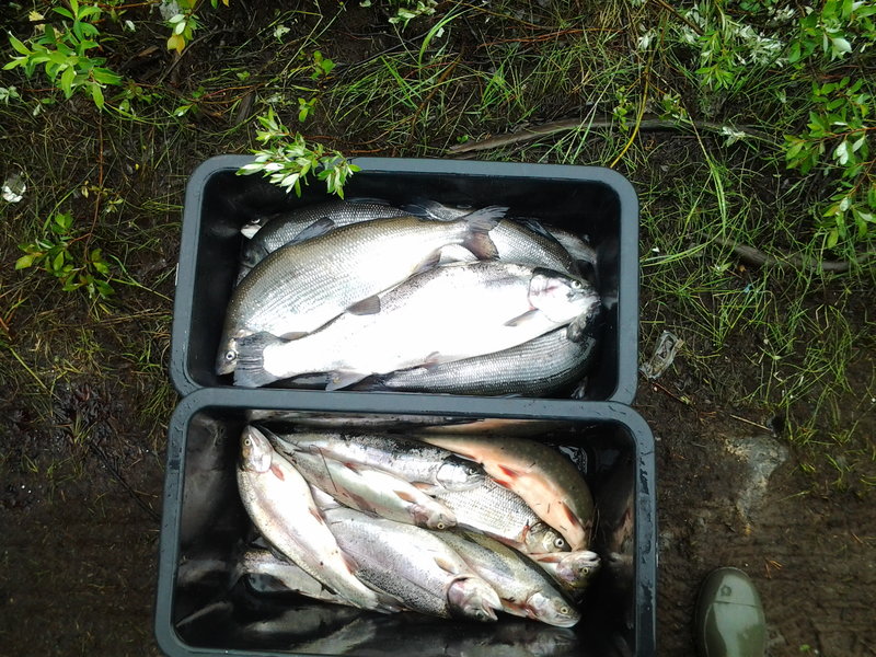 20130614_112151.jpg