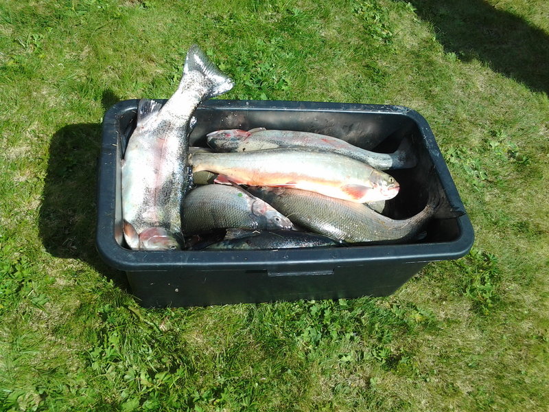 20130612_142951.jpg