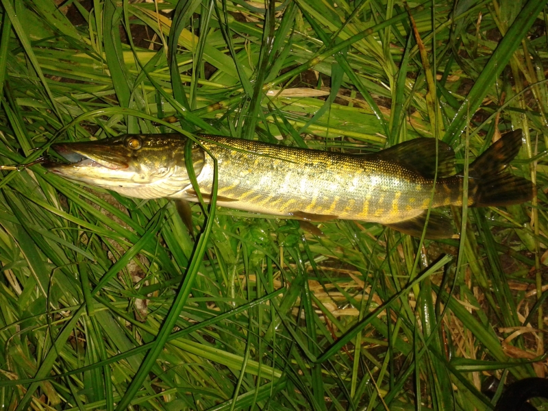 20130709_231719.jpg
