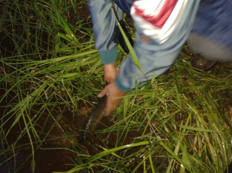 20130709_231802.jpg