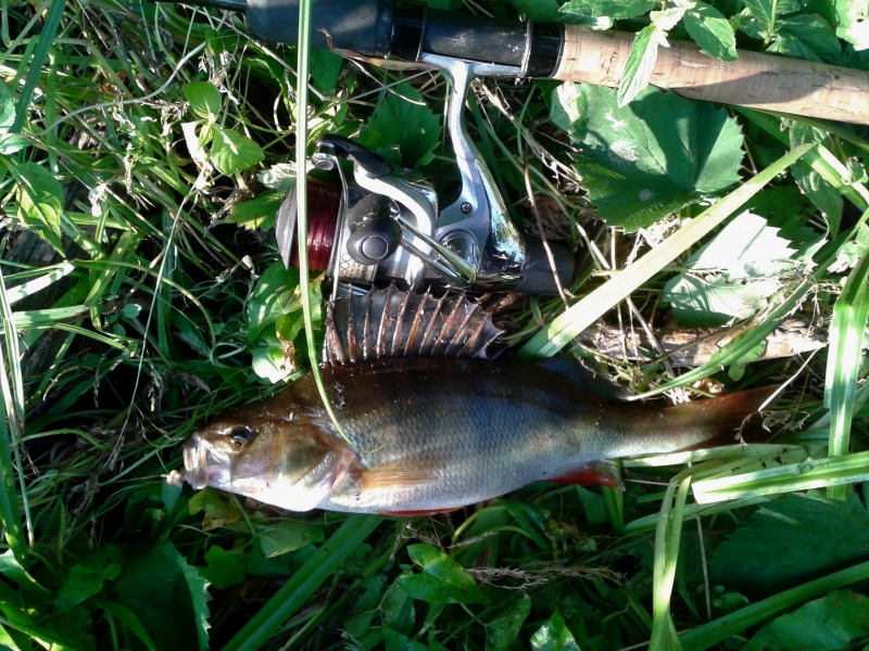 20130709_210121.jpg
