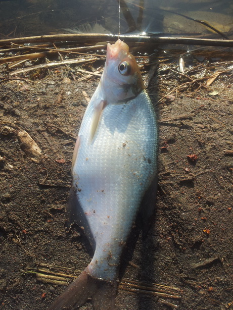 20130723_183629.jpg