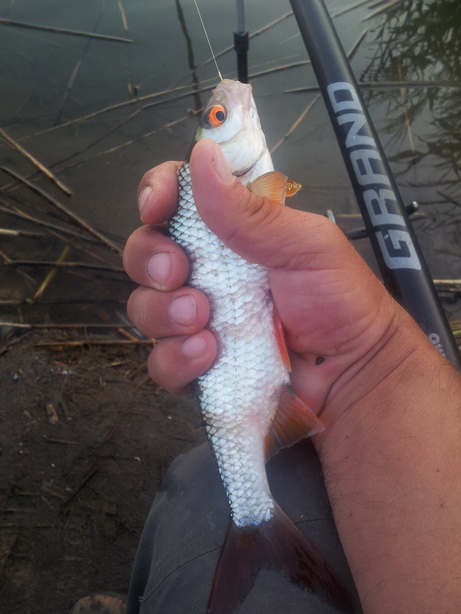 20130723_205848.jpg