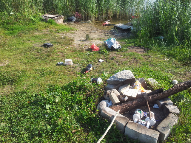 20130723_180129.jpg