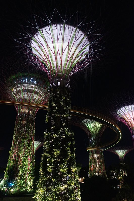 Сады "Gardens By The Bay"