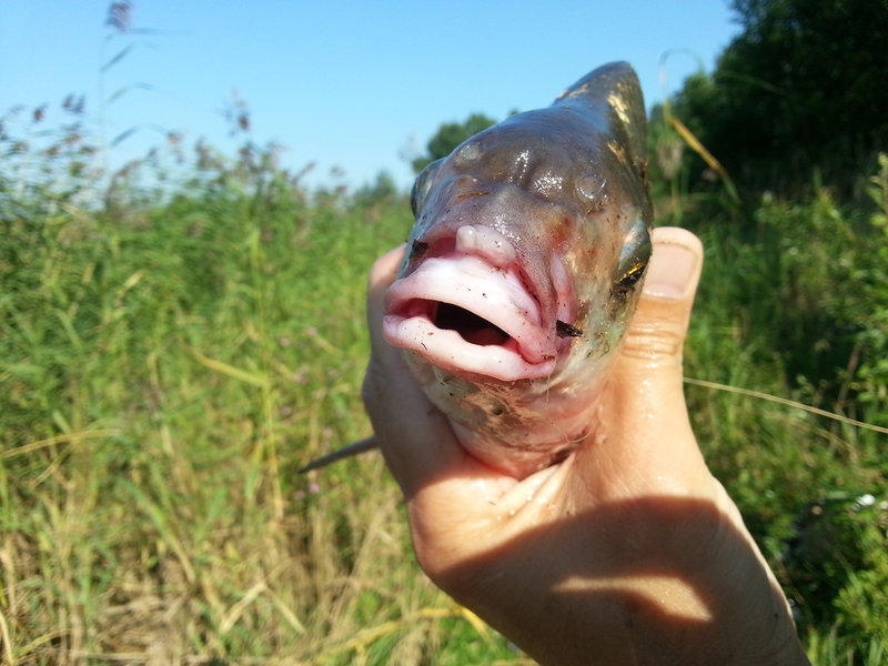 20130728_171804.jpg