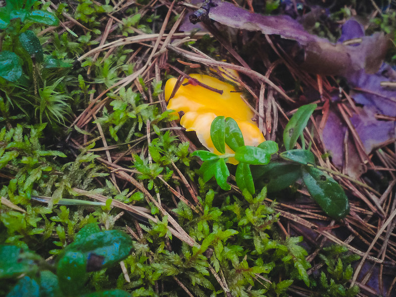 20130817-DSC01171.jpg