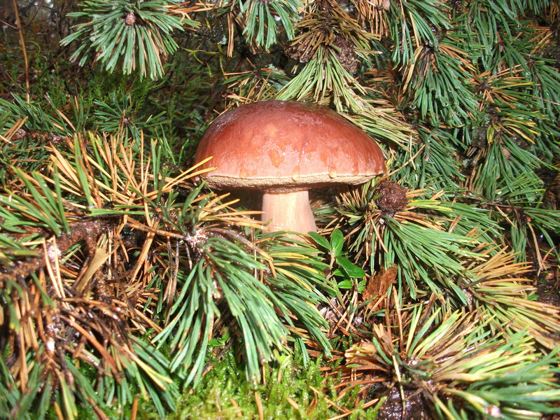 DSCF1728.jpg