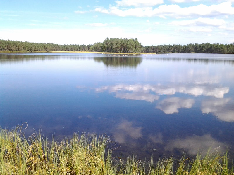 Kivijärv