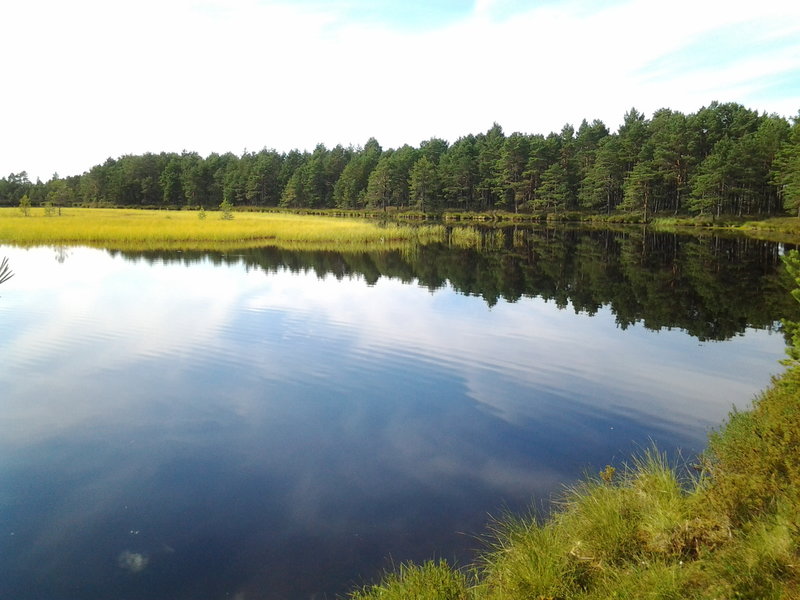 Kivijärv