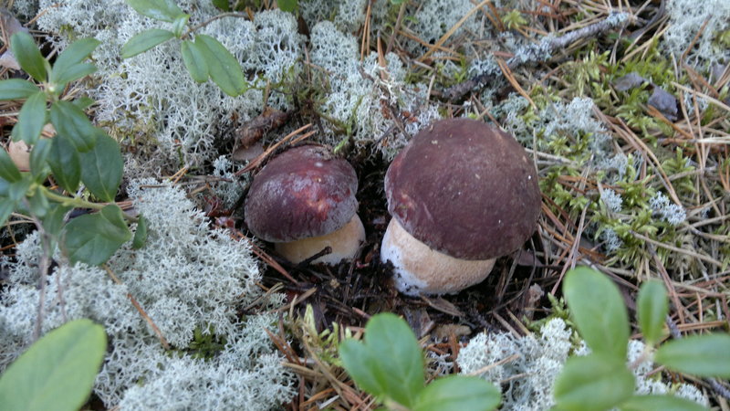 2013-08-23-2255.jpg