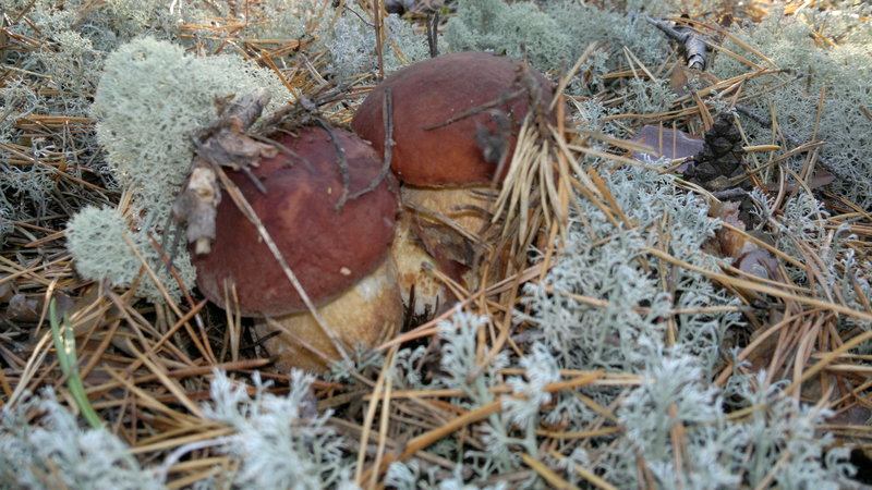 2013-08-23-2258.jpg