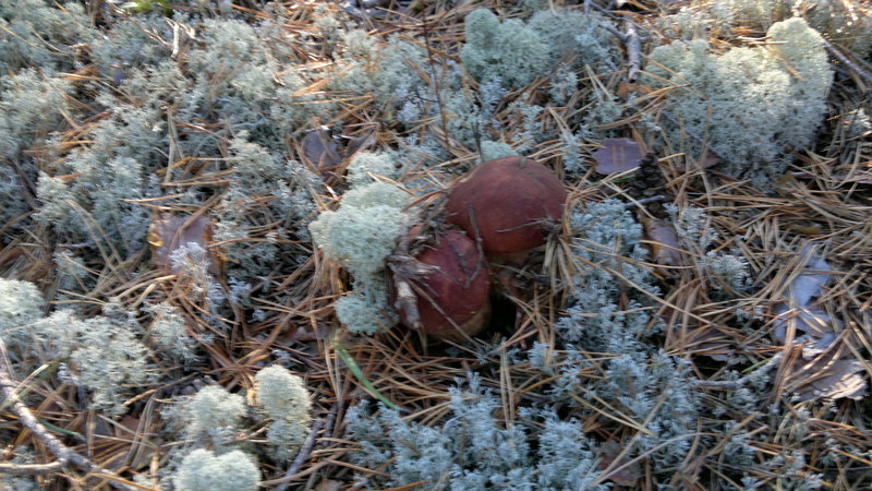 2013-08-23-2259.jpg