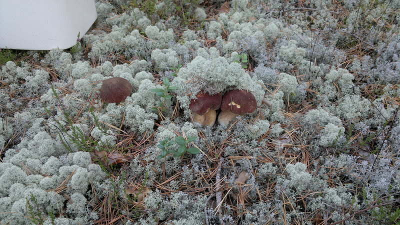 2013-08-23-2262.jpg