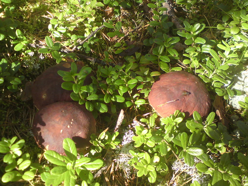 DSC01180.JPG