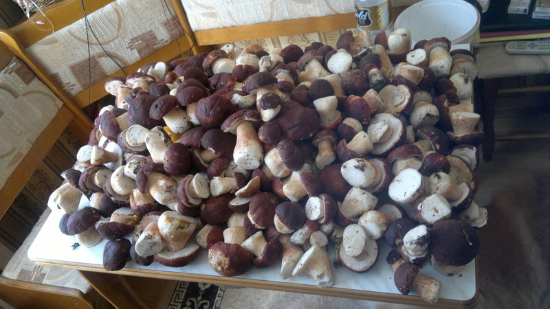 2013-08-25-2269.jpg