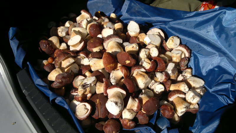 2013-08-25-2267.jpg
