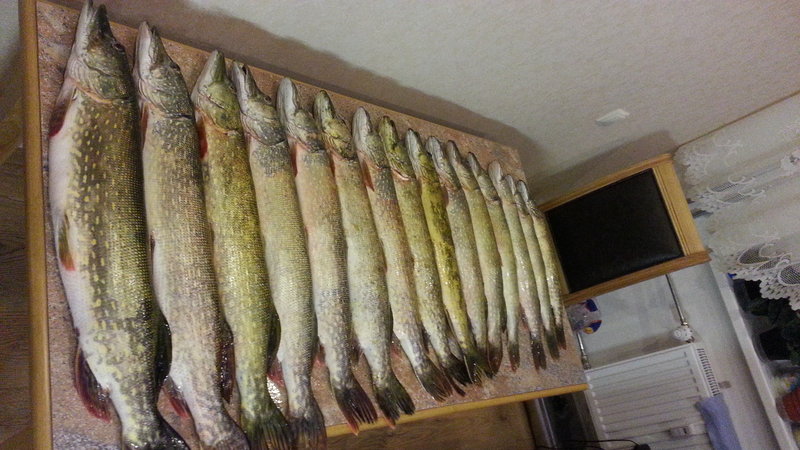 20130828_000700.jpg