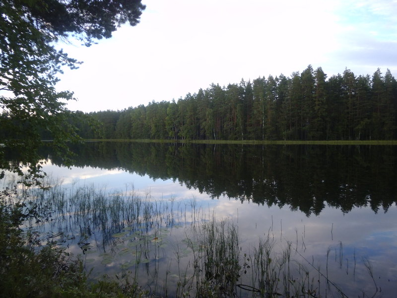 P1000445.JPG