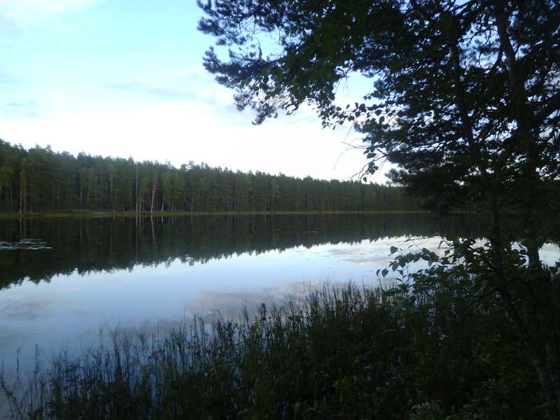 P1000447.JPG