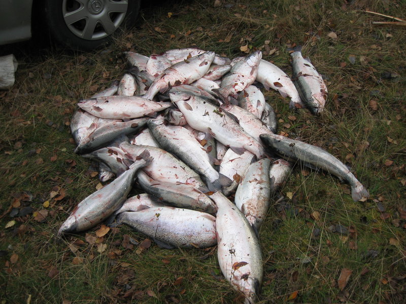 Сторуман сентябрь 2013 062.jpg