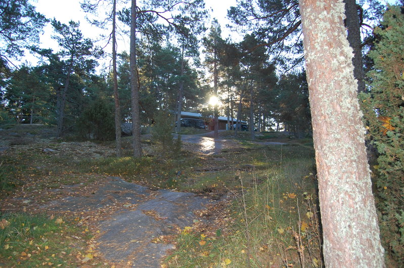 DSC_1741.JPG