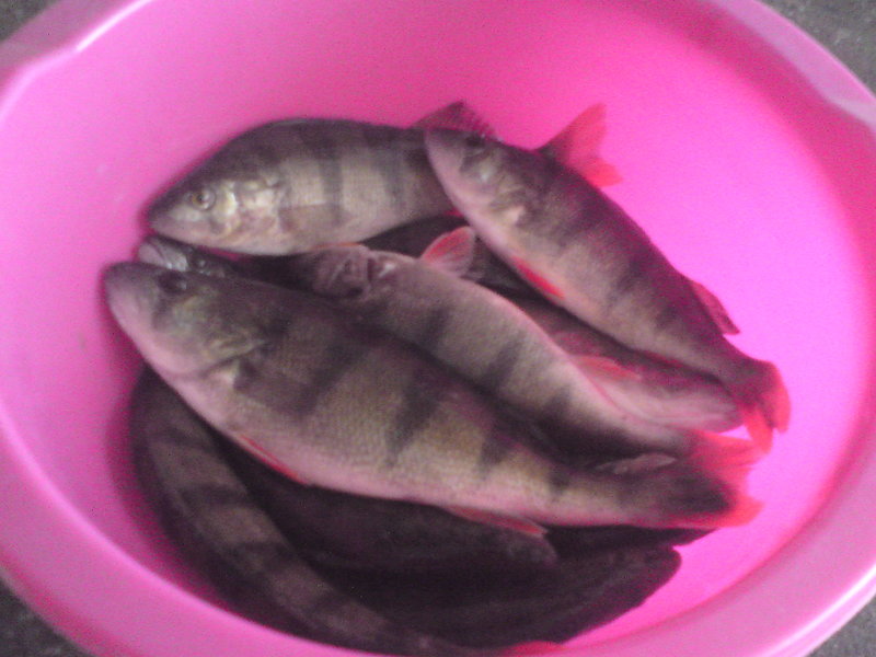 DSC01212.JPG