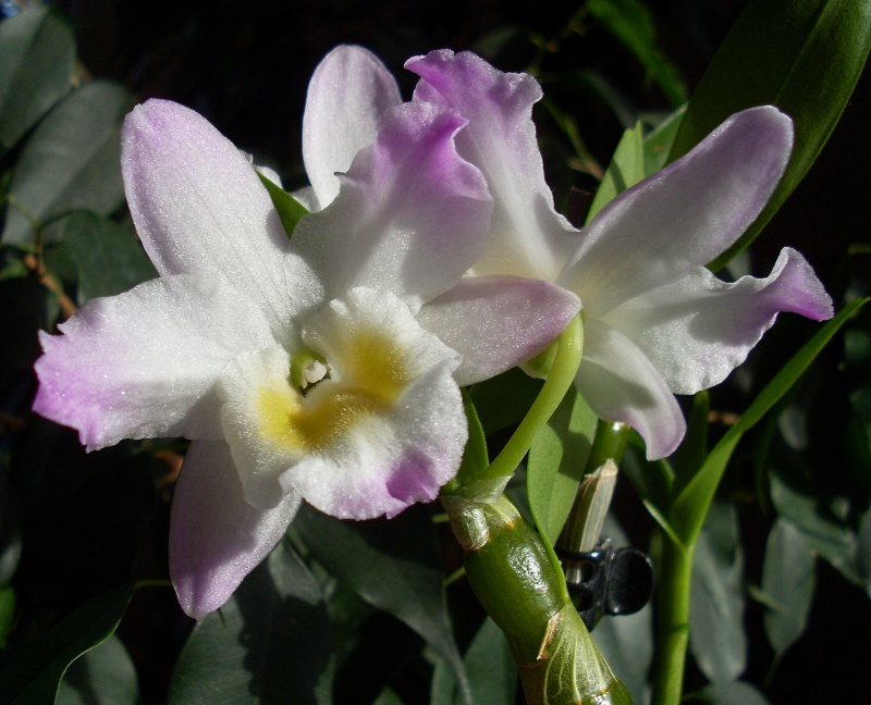 SL380422.JPG