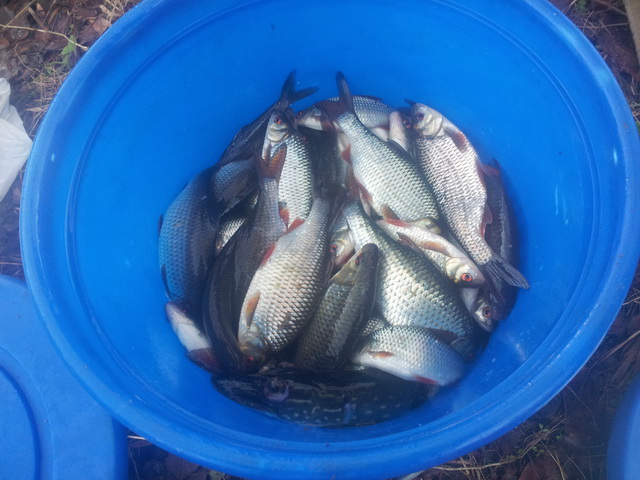 20131116_145252.jpg