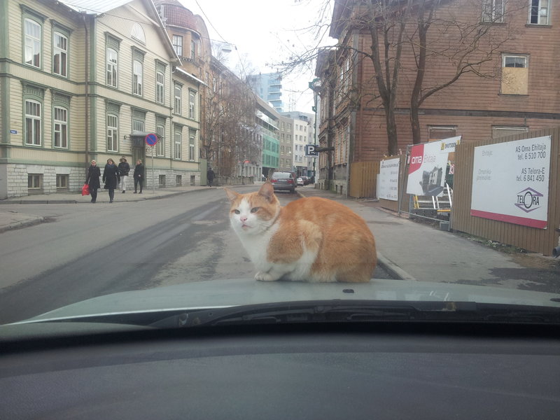 14 ноября 2013.jpg