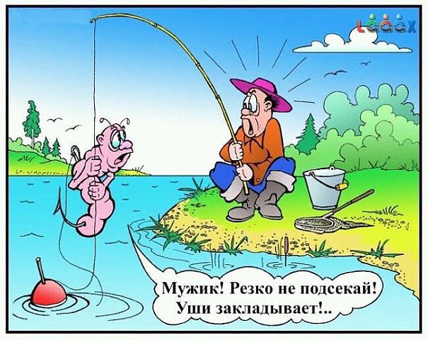 Резко не подсекай.jpeg