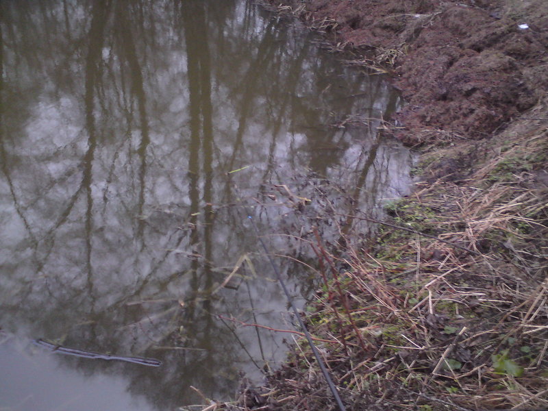 DSC01242.JPG