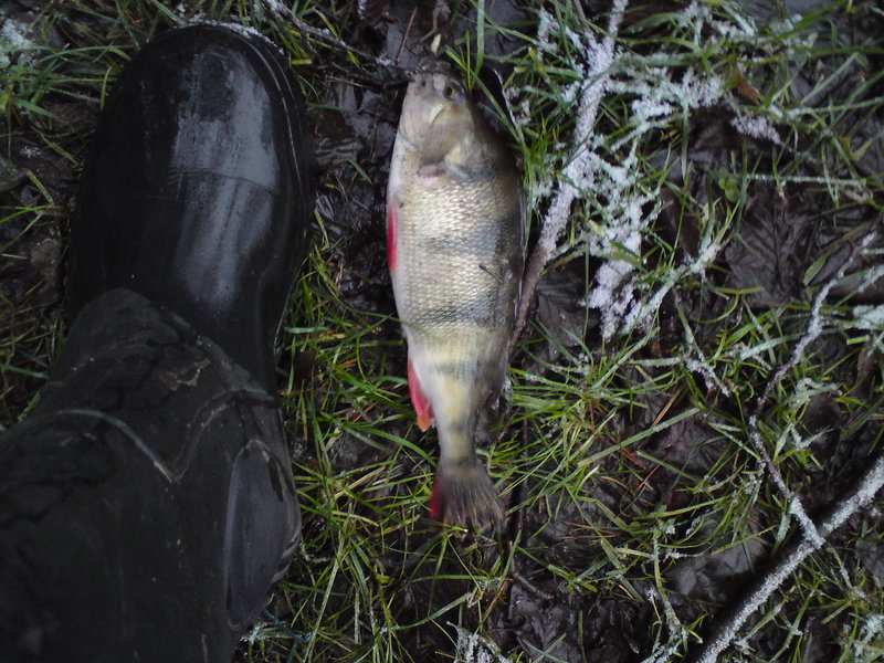 DSC01247.JPG