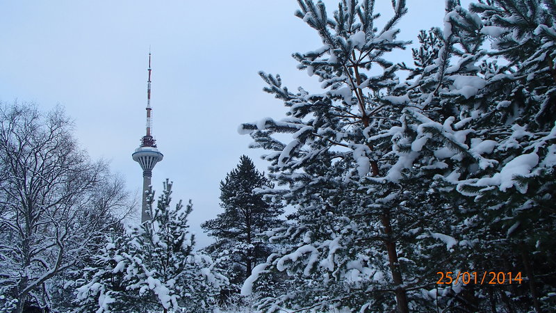 P1250091.JPG
