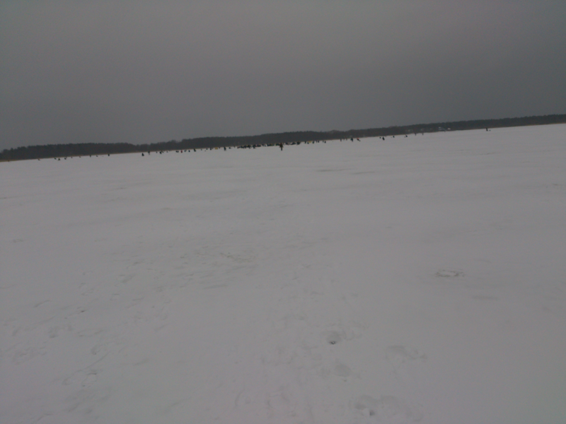 DSC_0050 (Копировать).PNG