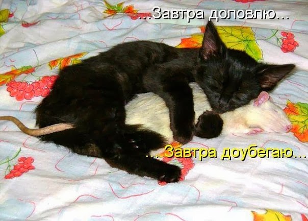 умаялись.jpg