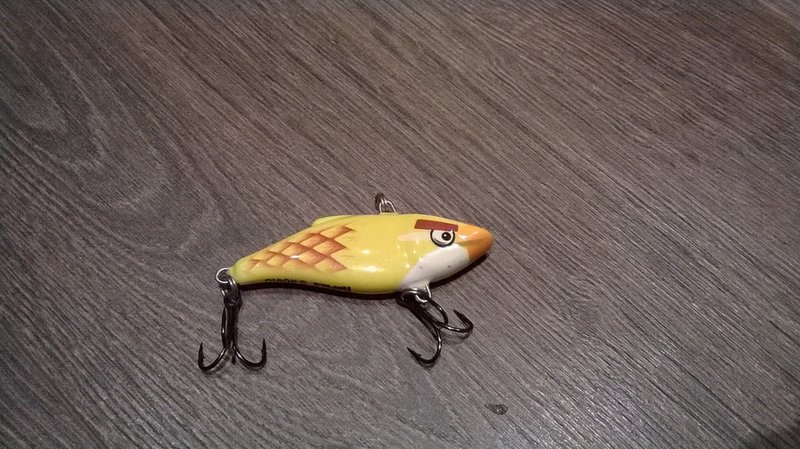 WP_20140304_002.jpg